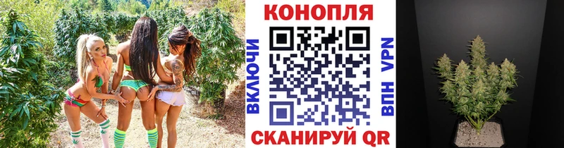 Купить Псилоцибиновые грибы  Alpha PVP  МАРИХУАНА  МДМА  Cocaine  Меф мяу мяу  Аксай